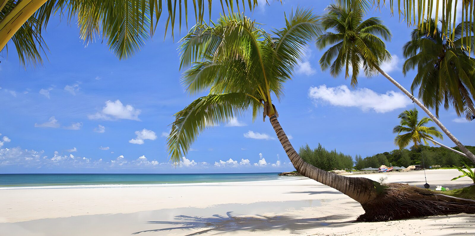 OCUK29342: Tropical Beach Paradise