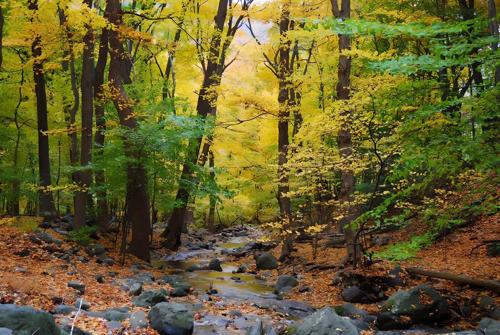 OCUK80346: Autumn Serenity by the Stream
