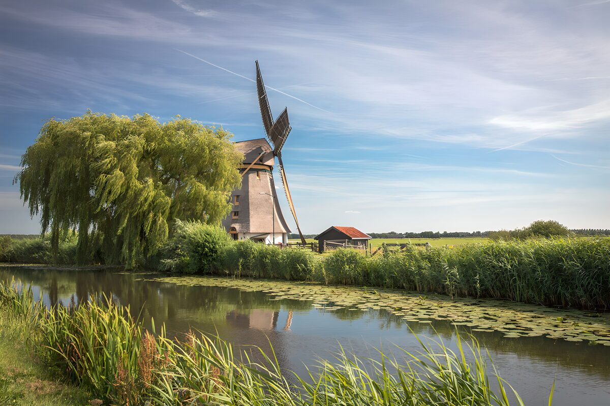 OCUK34609: Serene Dutch Windmill Landscape