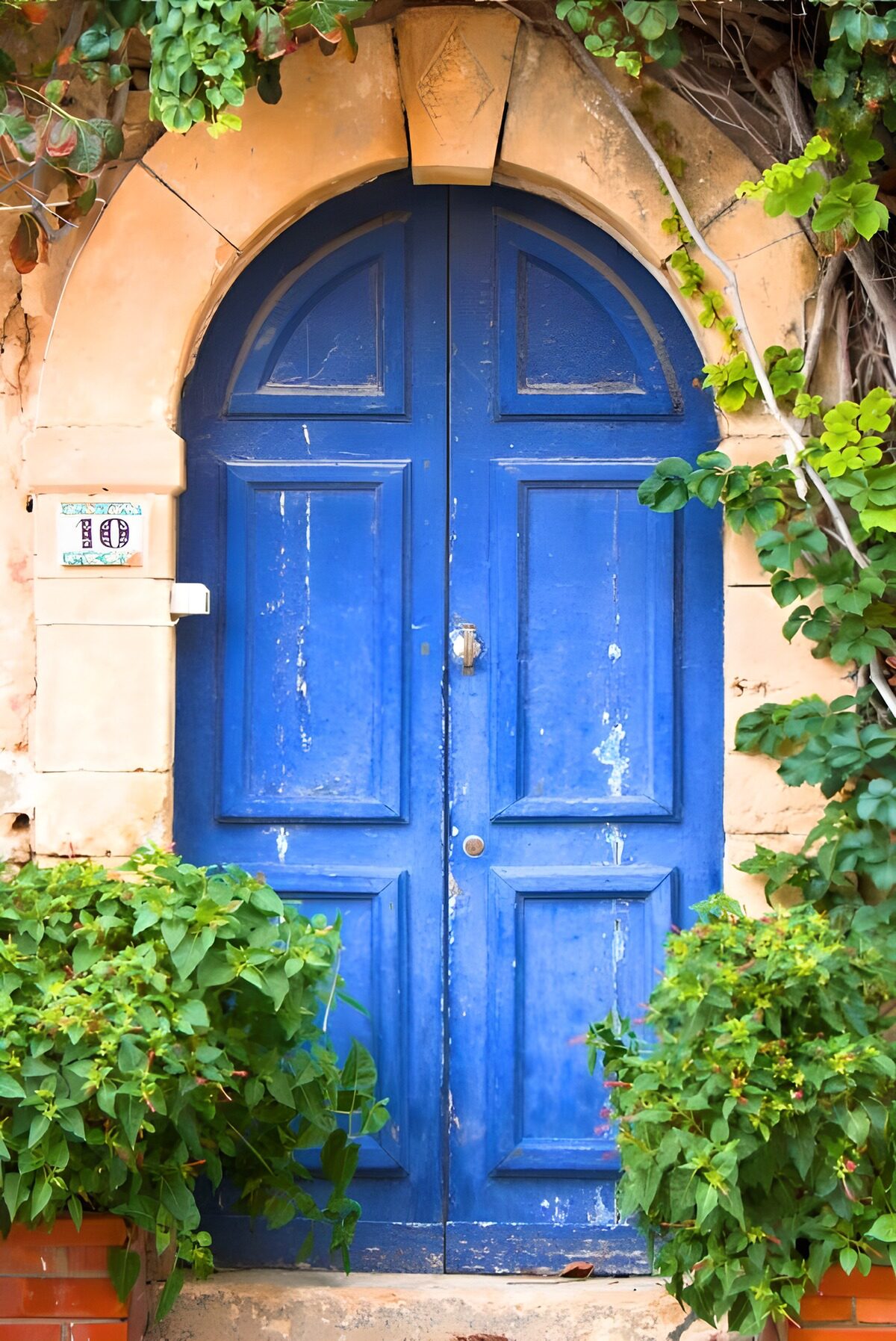 OCUK75967: Vibrant Blue Doorway with Greenery