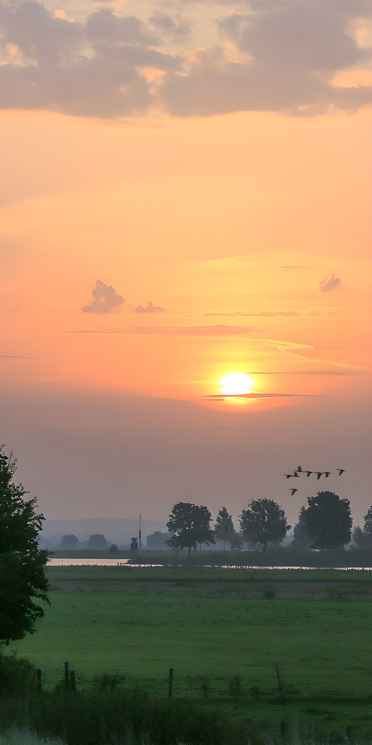 OCUK25271: Tranquil Sunset Over the Fields