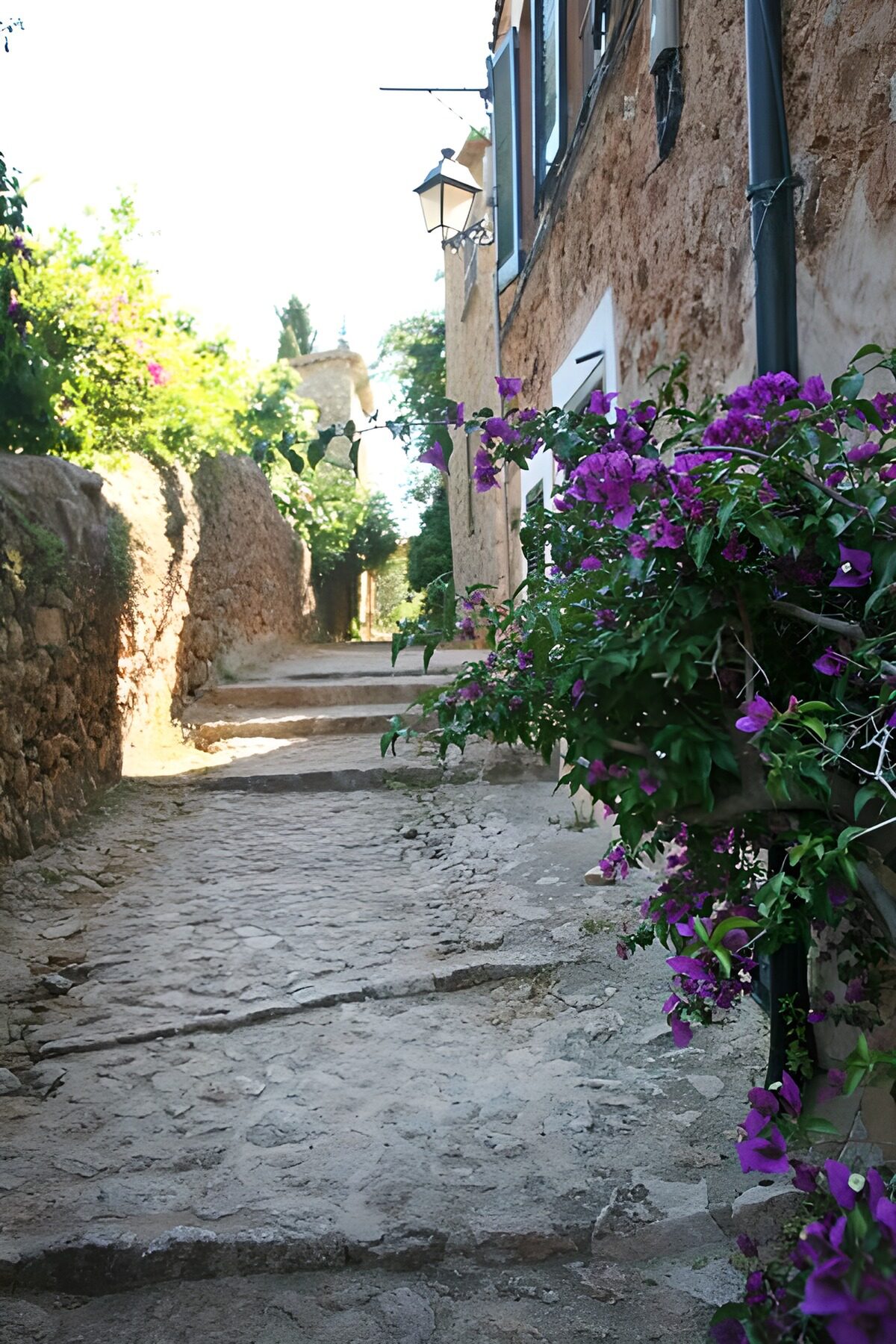 Ascending steps to small street  with houses 7