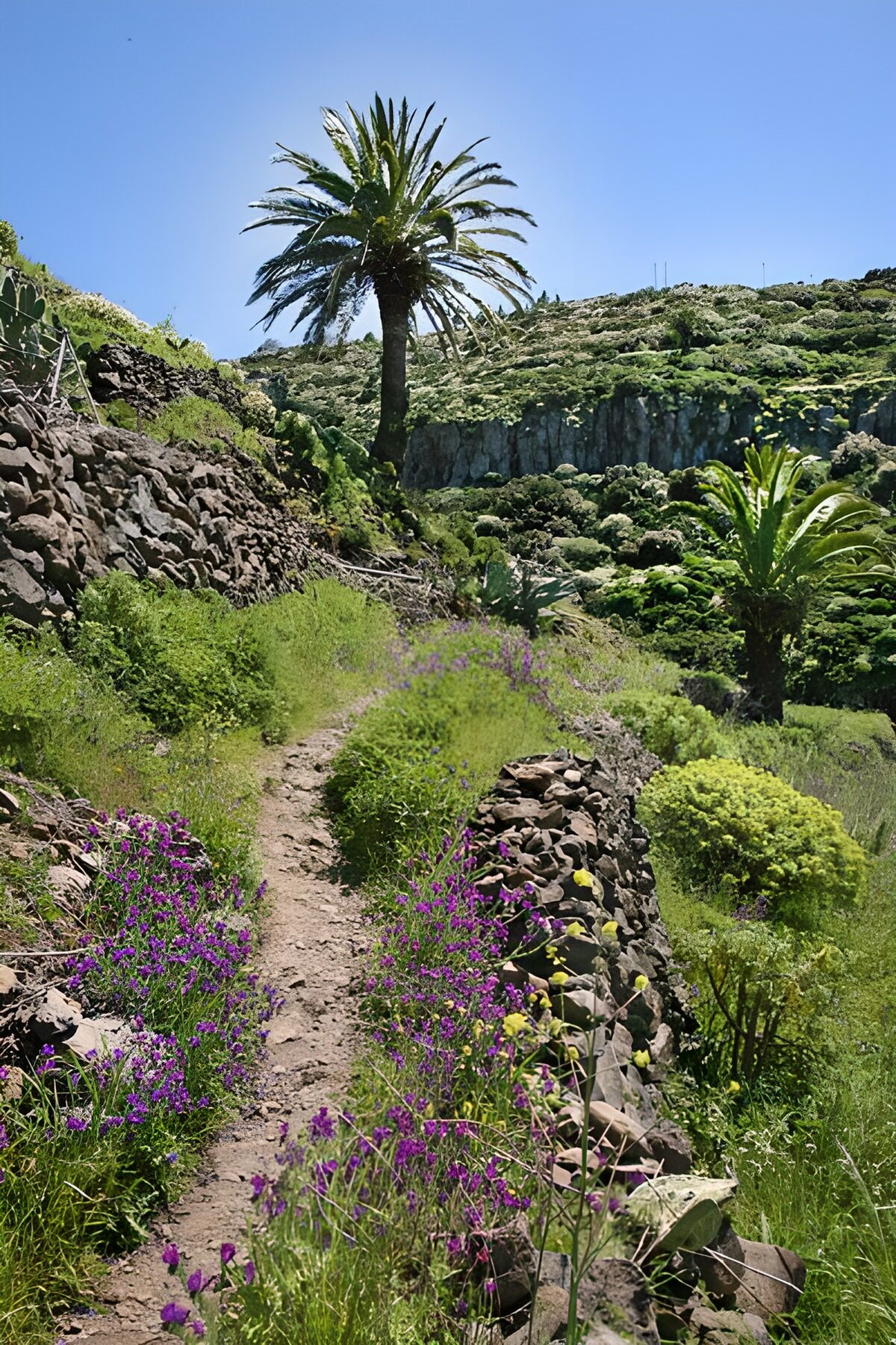 OCUK14736: La Gomera 36