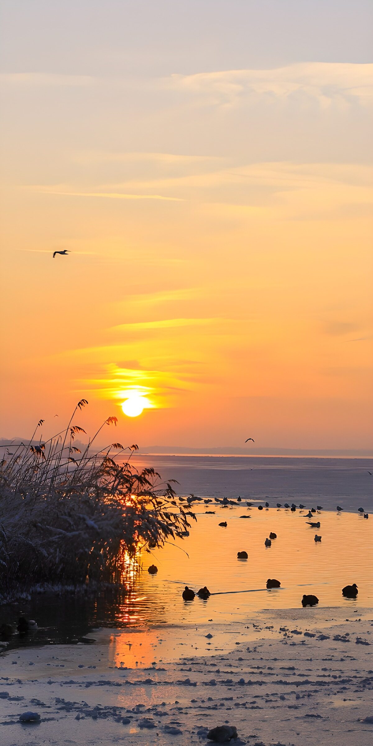 OCUK46133: Serene Sunset Over Tranquil Waters