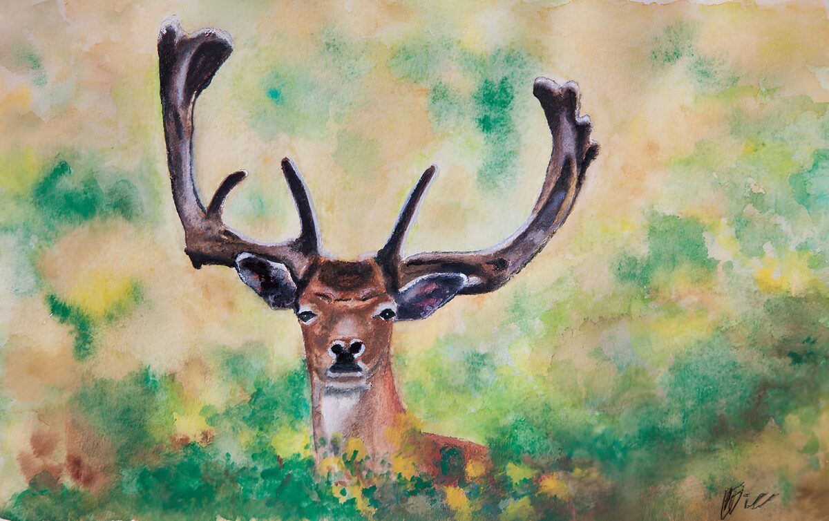 Majestic Stag in the Wilderness