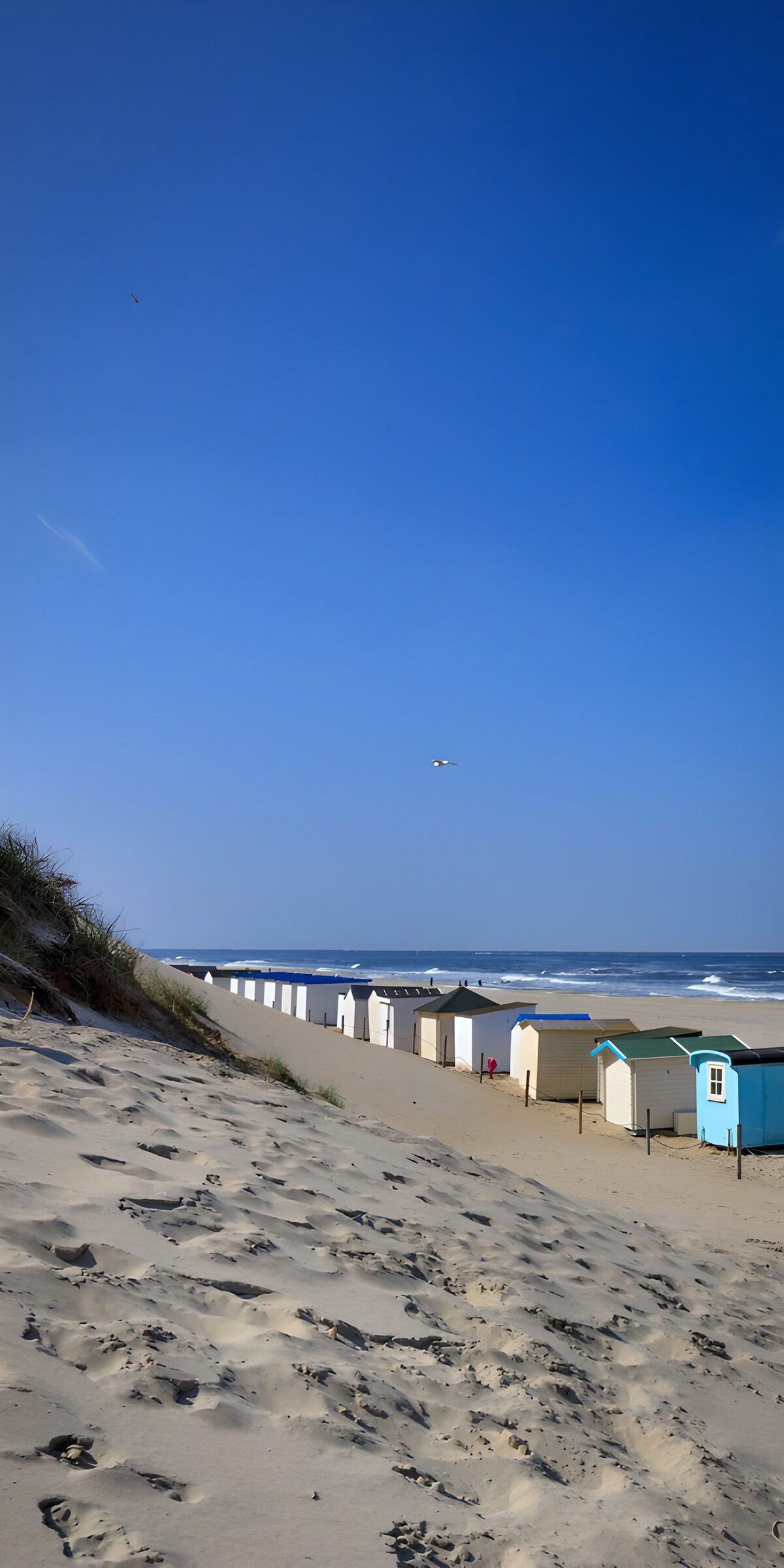 OCUK28394: Coastal Beach Huts under Clear Sky