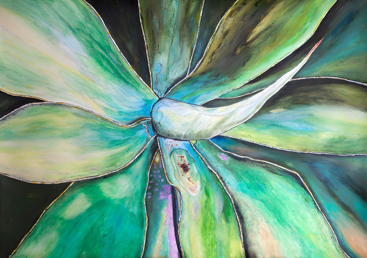 OCUK25233: Vibrant Agave Leaves