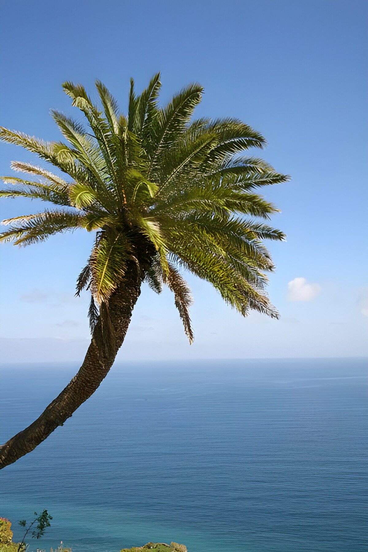 OCUK73462: La Gomera 24