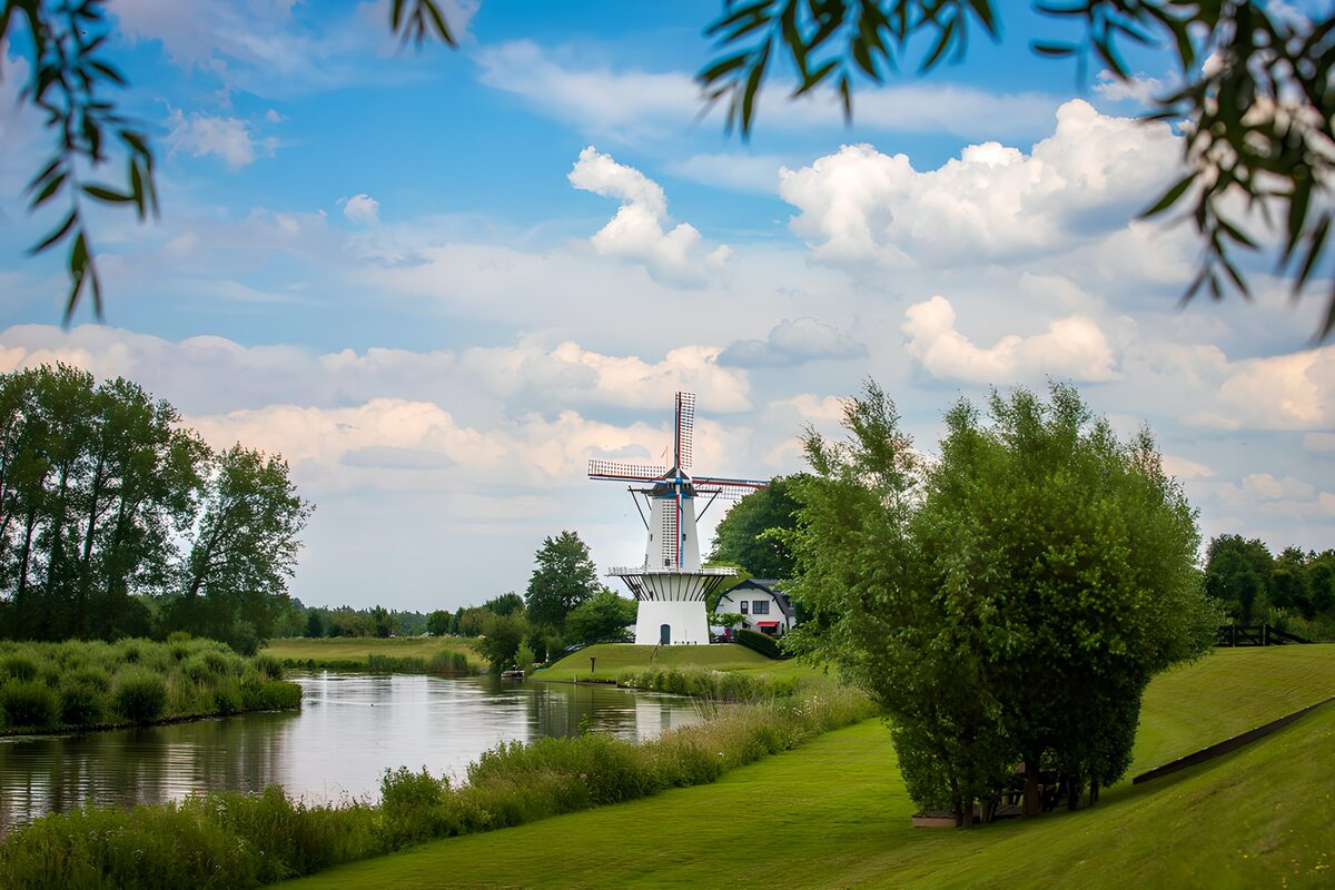 OCUK94692: Tranquil Dutch Windmill by the River
