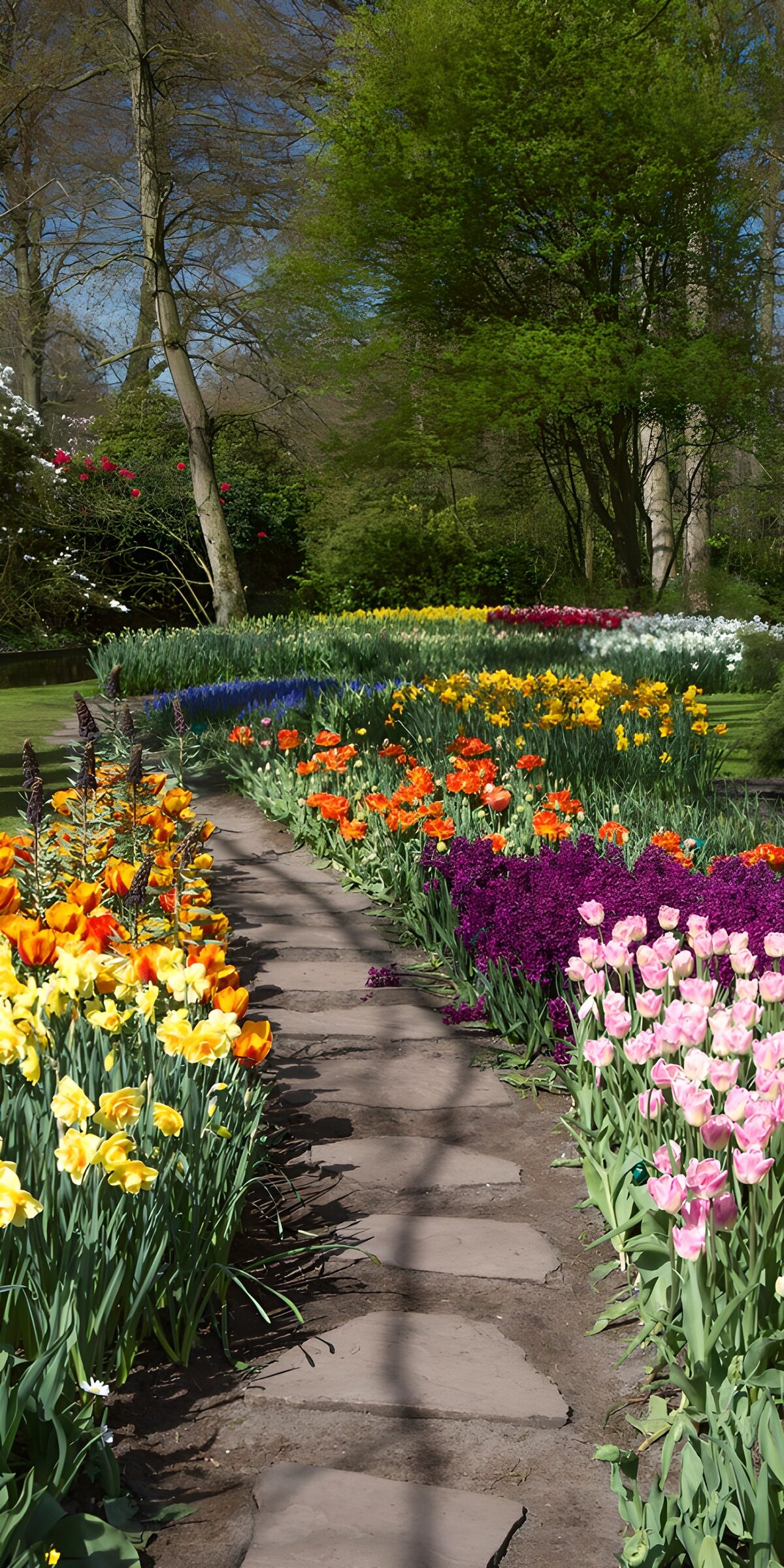 OCUK72514: Vibrant Floral Pathway