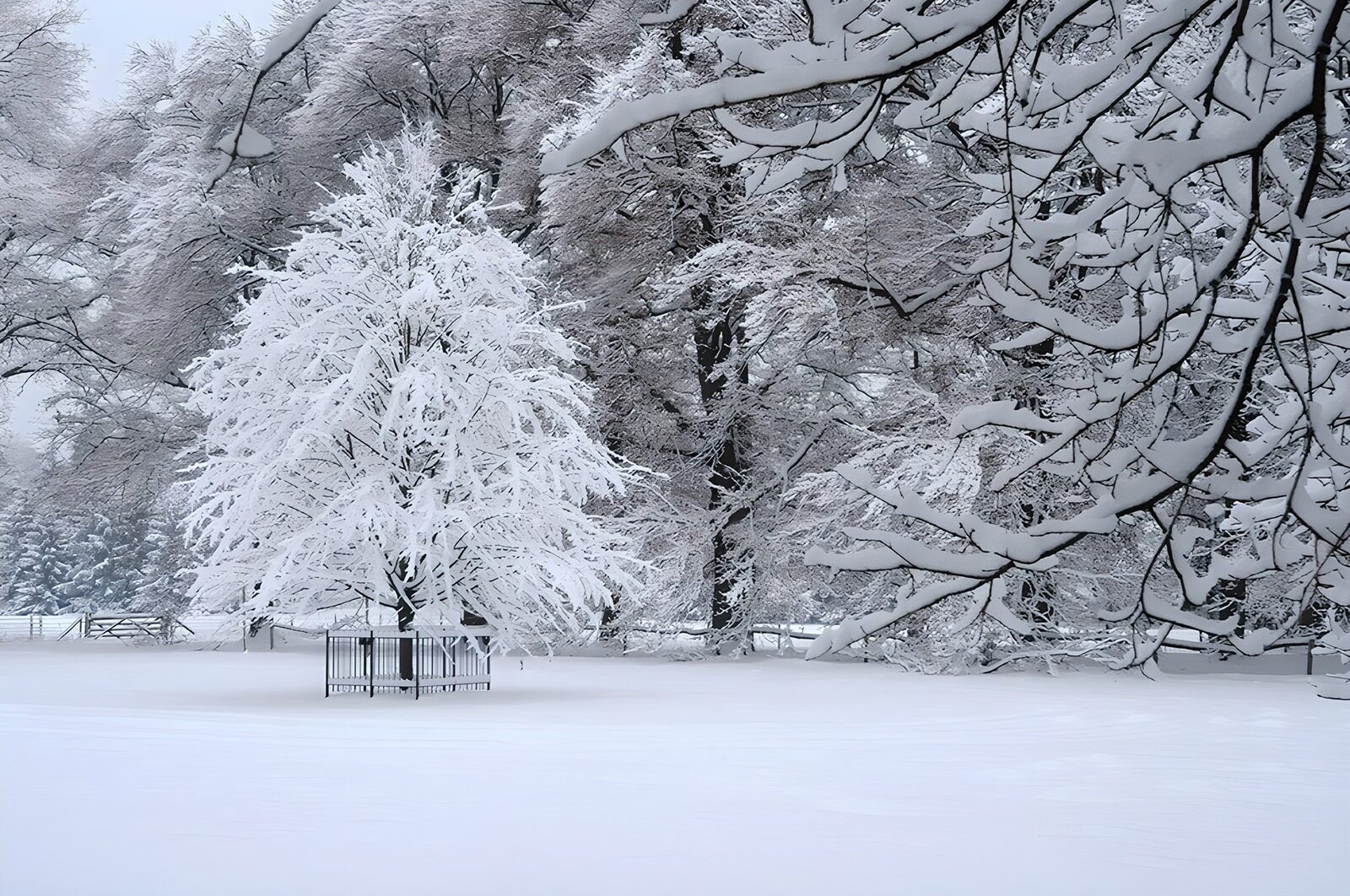 OCUK86188: Winter Wonderland in Snow