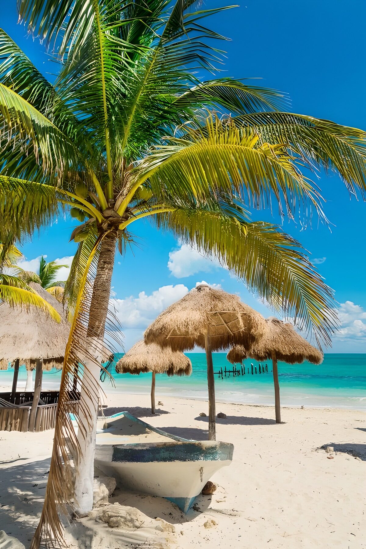 OCUK41530: Tropical Paradise by the Shore