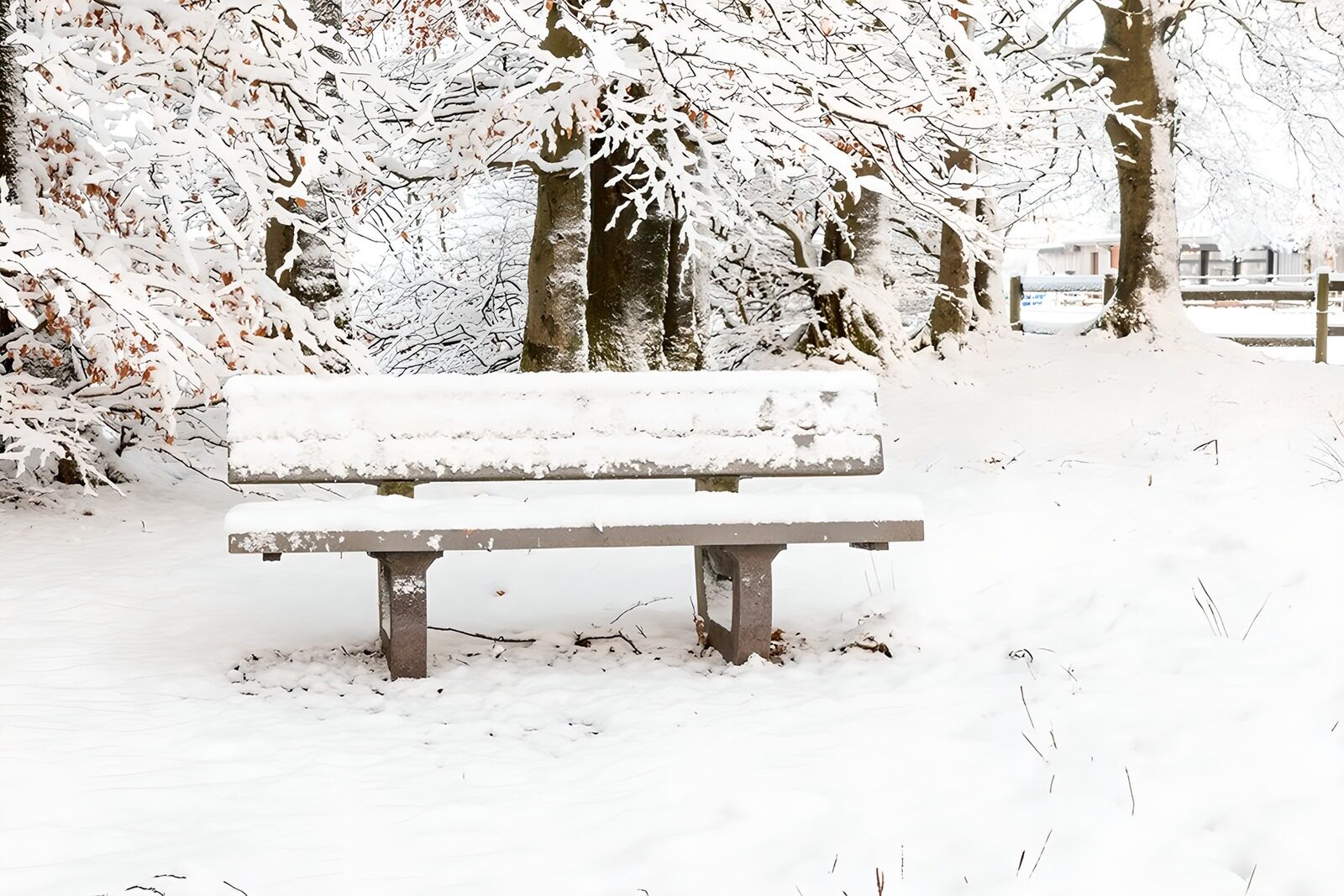 OCUK13343: Serene Snow-Covered Park Bench