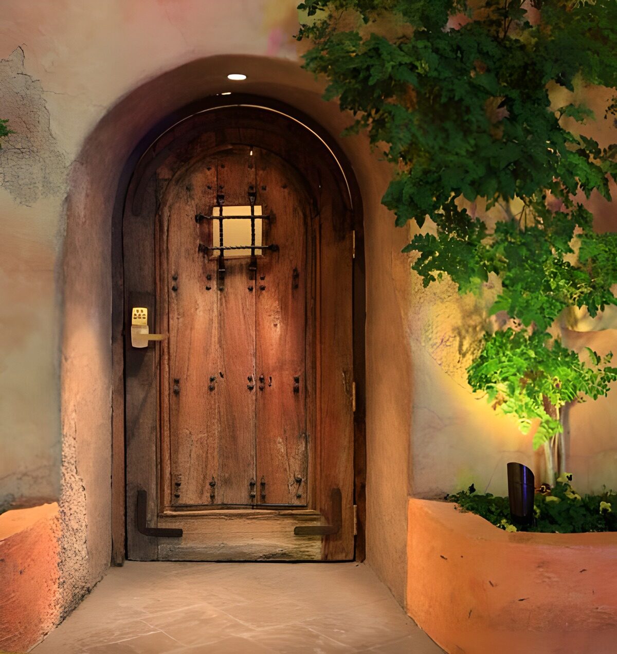 Dreamy view with strong door and small tree