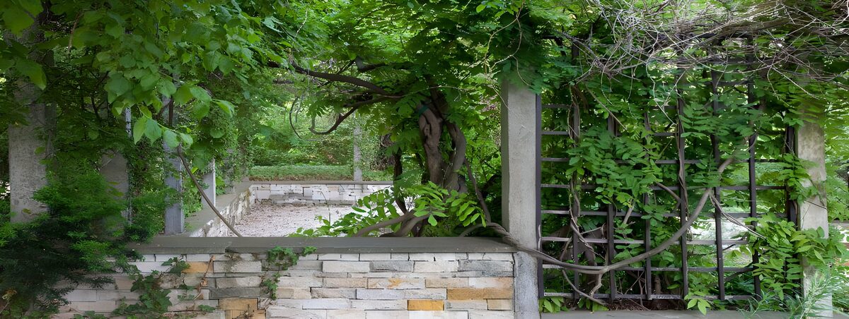 OCUK68365: Lush Greenery Embraces the Old Wall