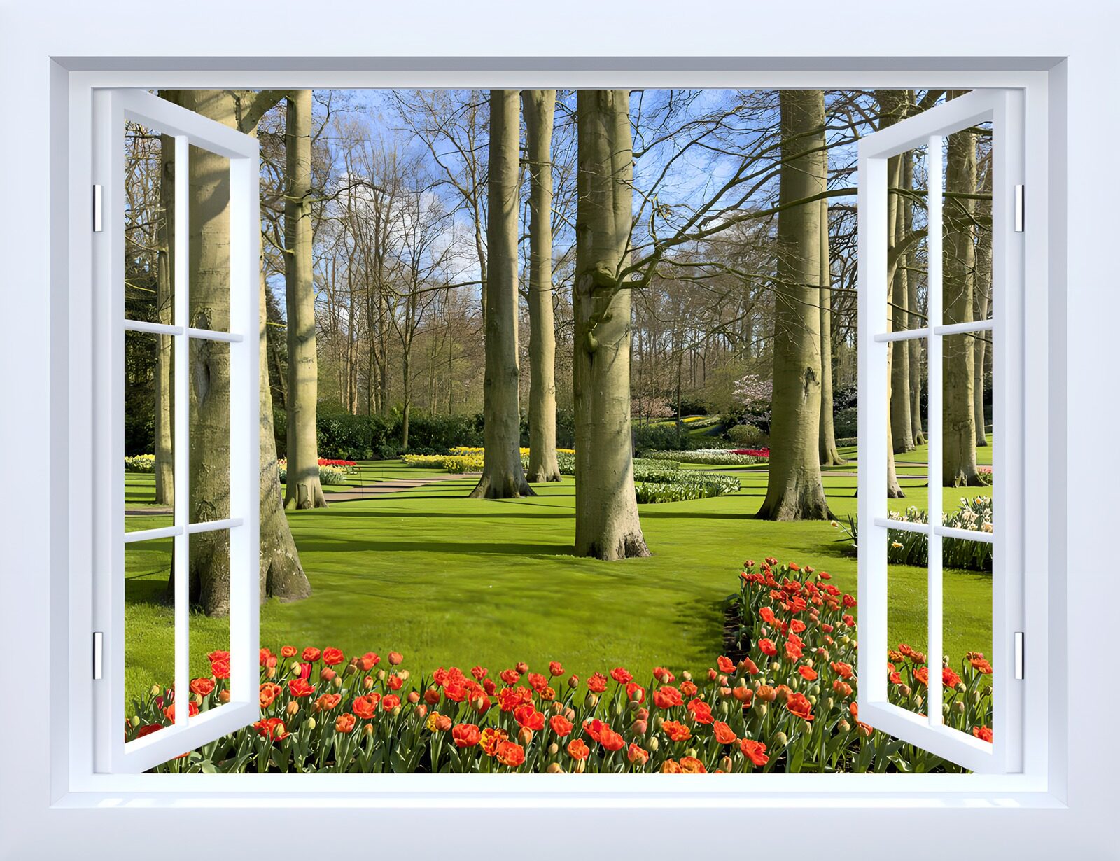 OCUK47796: View of a Vibrant Garden Through a Window