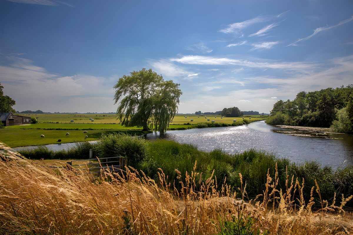 OCUK64750: Serene River in Lush Green Landscape