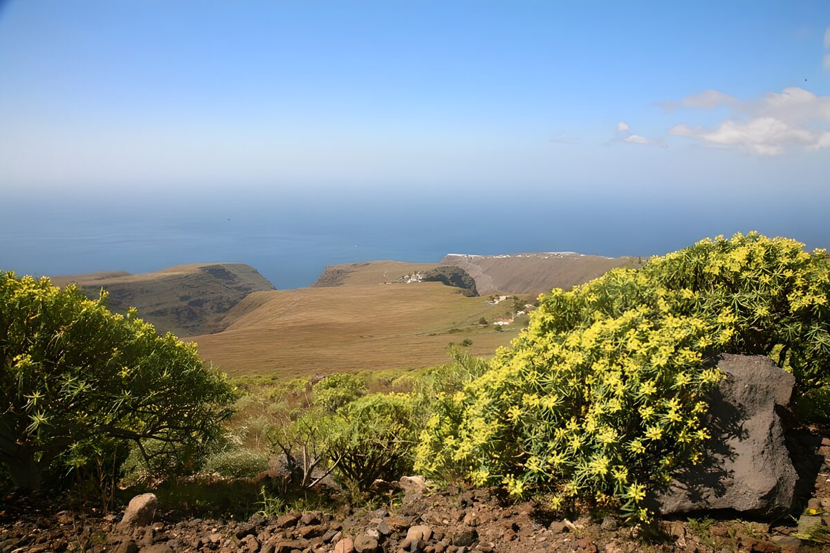 OCUK78070: La Gomera 21