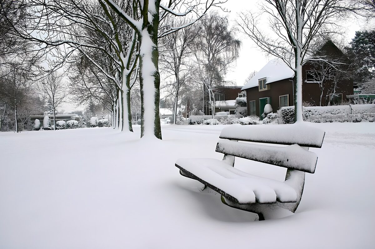 Winter Wonderland: A Snow-Covered Park