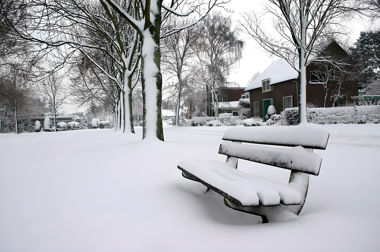 OCUK19046: Winter Wonderland: A Snow-Covered Park