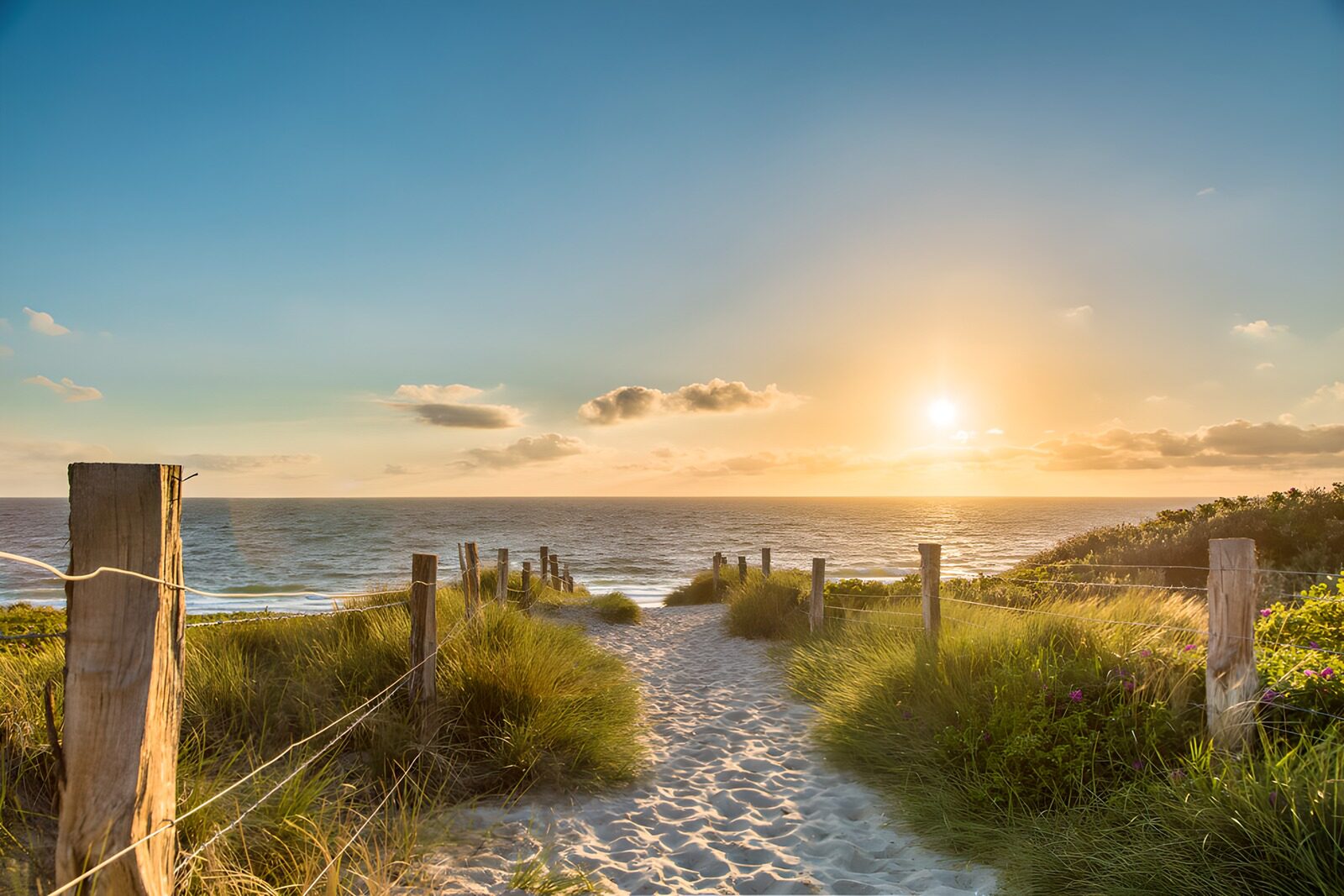 OCUK51503: Serenity at the Beach Pathway