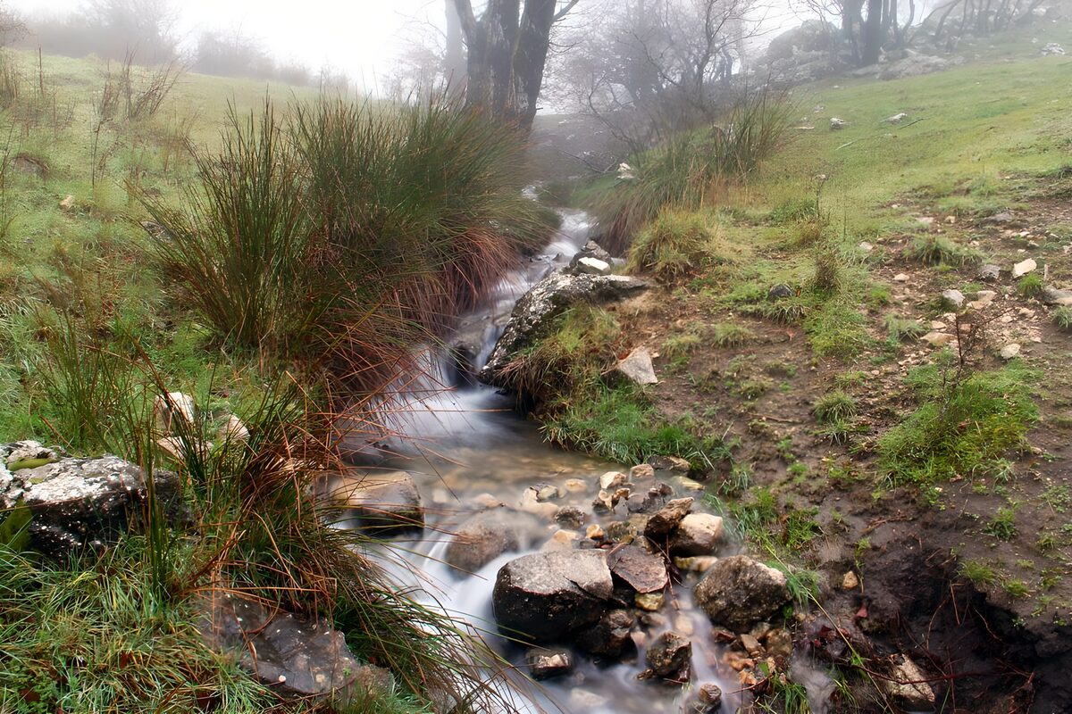 OCUK82131: Misty Stream in Serene Landscape