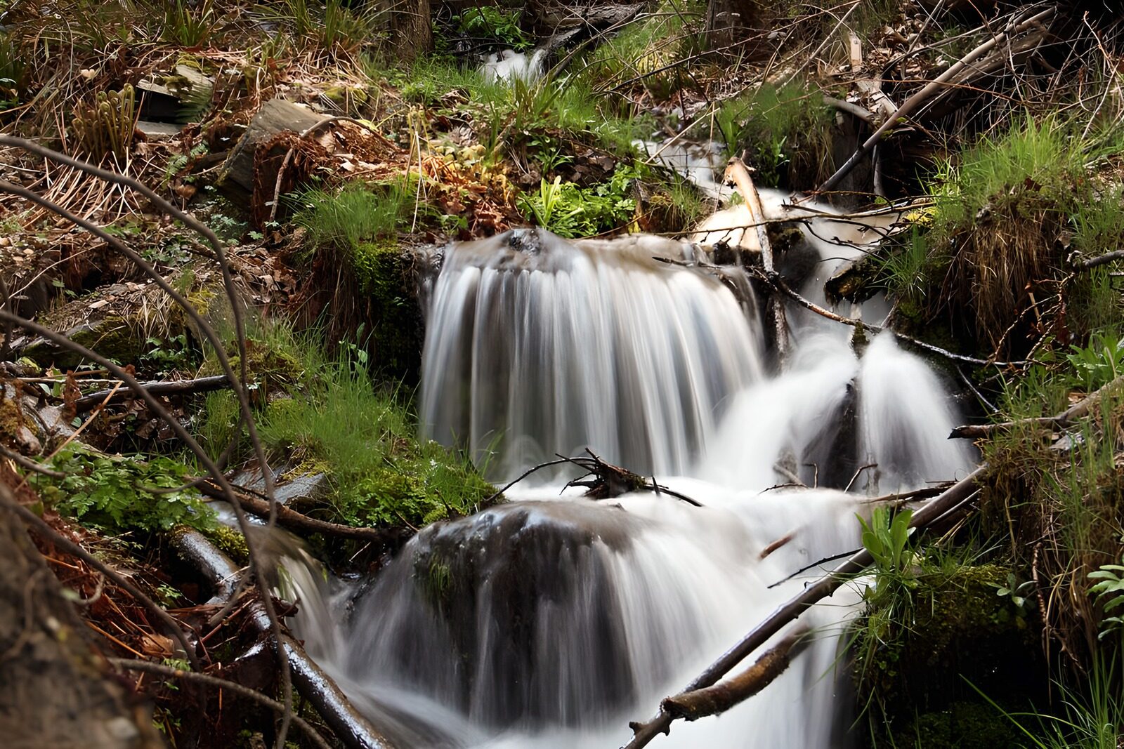 OCUK38241: Tranquil Forest Stream