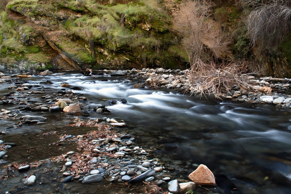 OCUK99908: Serene Stream Flowing Through Rocky Terrain