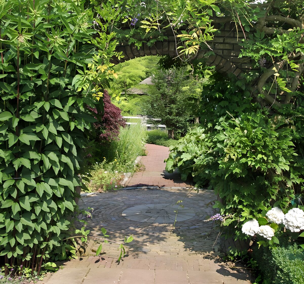 OCUK30669: Serene Garden Pathway
