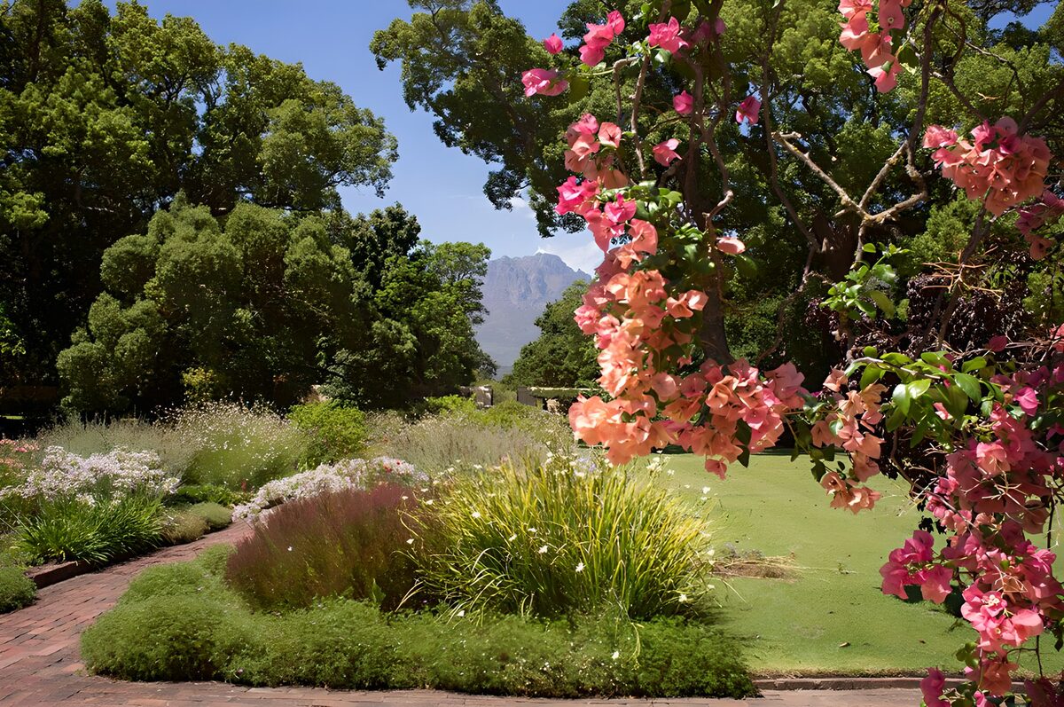 Garden with pink flowers in front of it