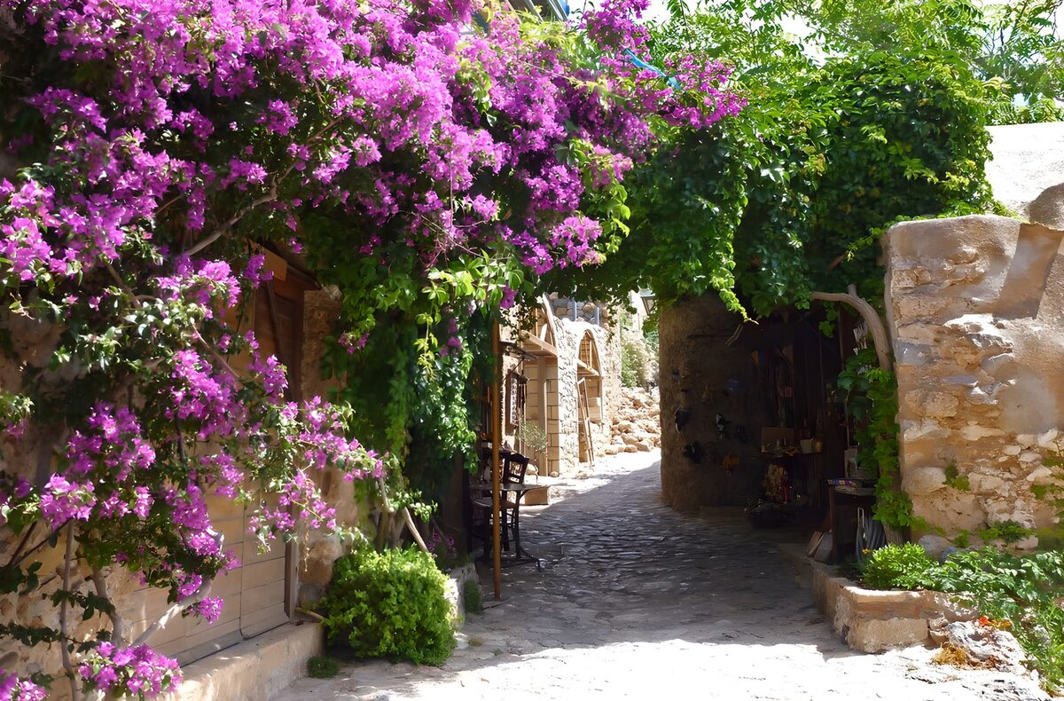 Old street with passage overgrown with Bougainvillea