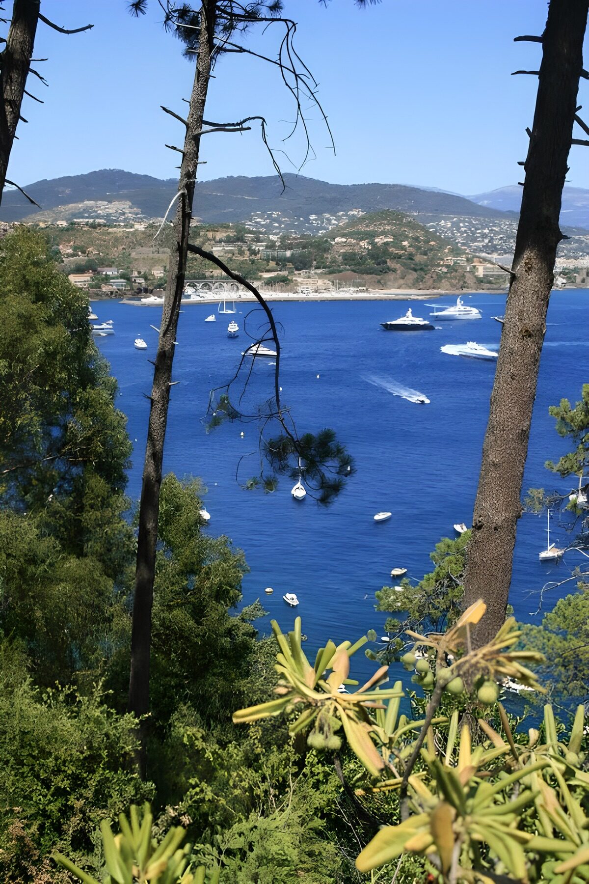 OCUK91050: Scenic Coastal View with Boats