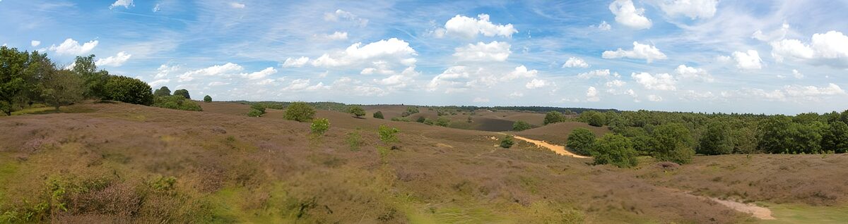 OCUK91892: View from a meadow 3