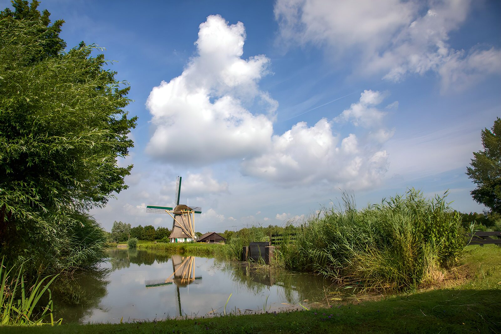 OCUK65550: Classic Windmill Reflection