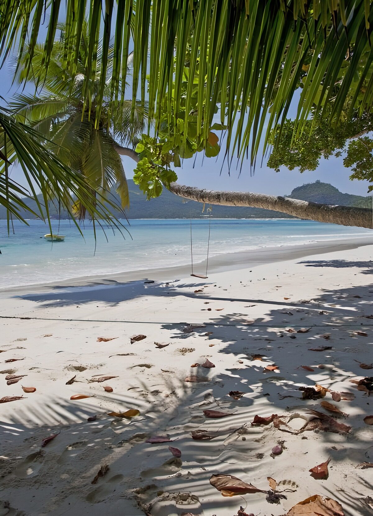OCUK28581: Tropical Paradise by the Shore