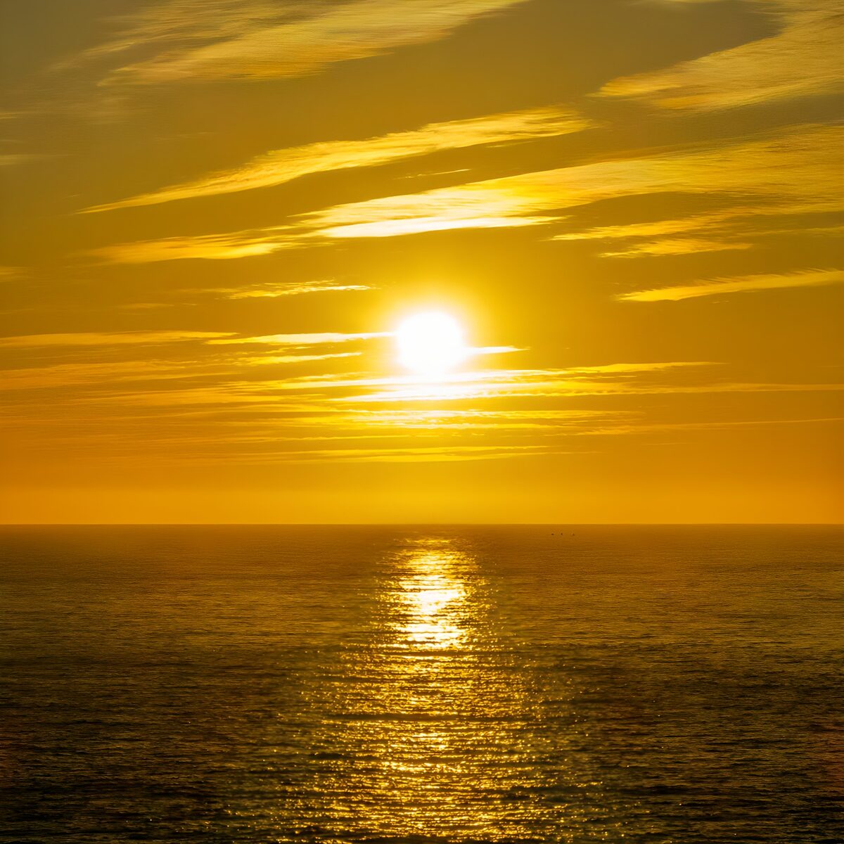 OCUK23389: Golden Sunset Over Tranquil Waters