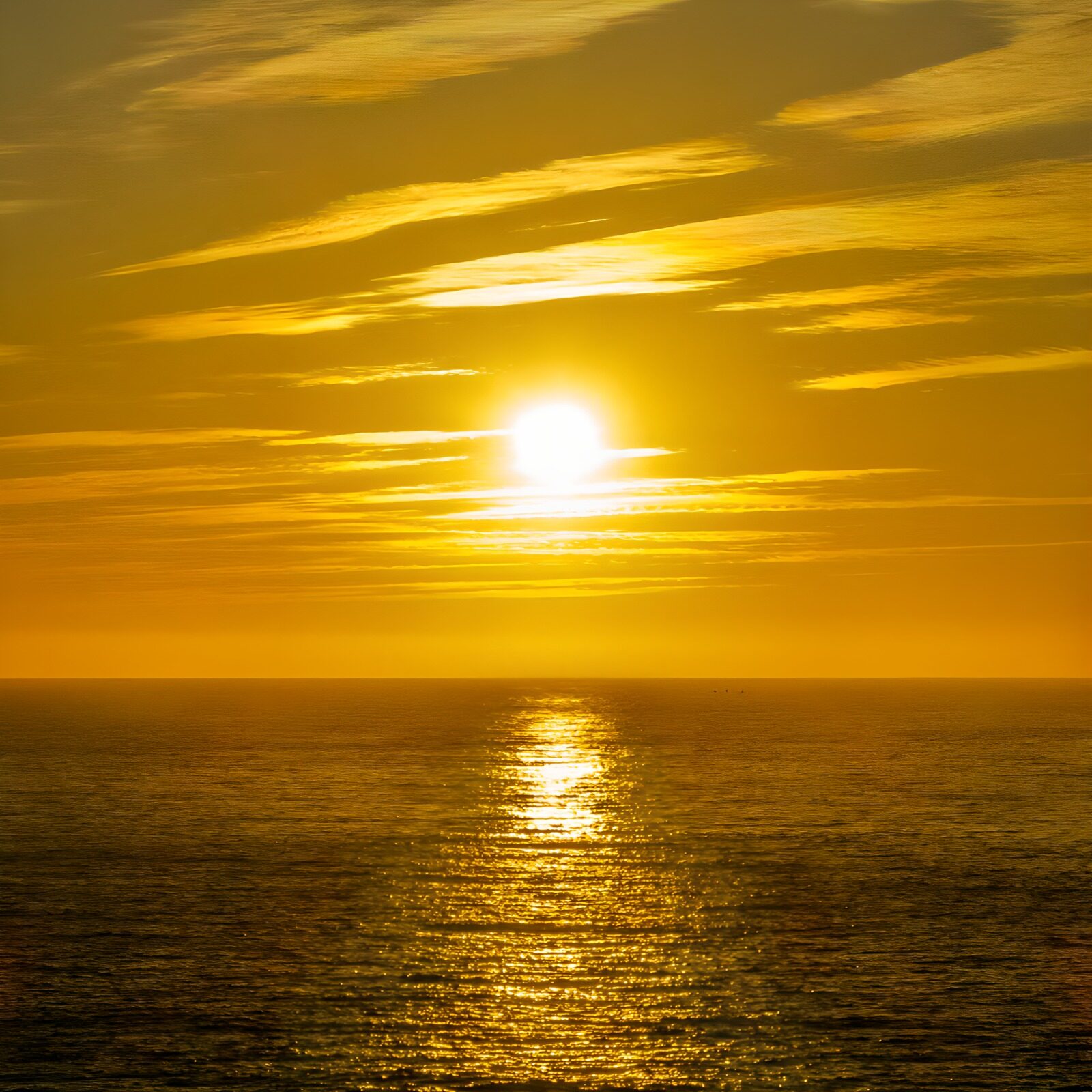 OCUK23389: Golden Sunset Over Tranquil Waters