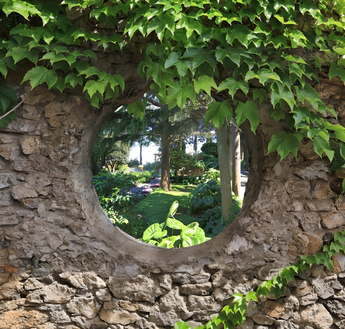 OCUK36950: Old brick wall with round hole covered with ivy