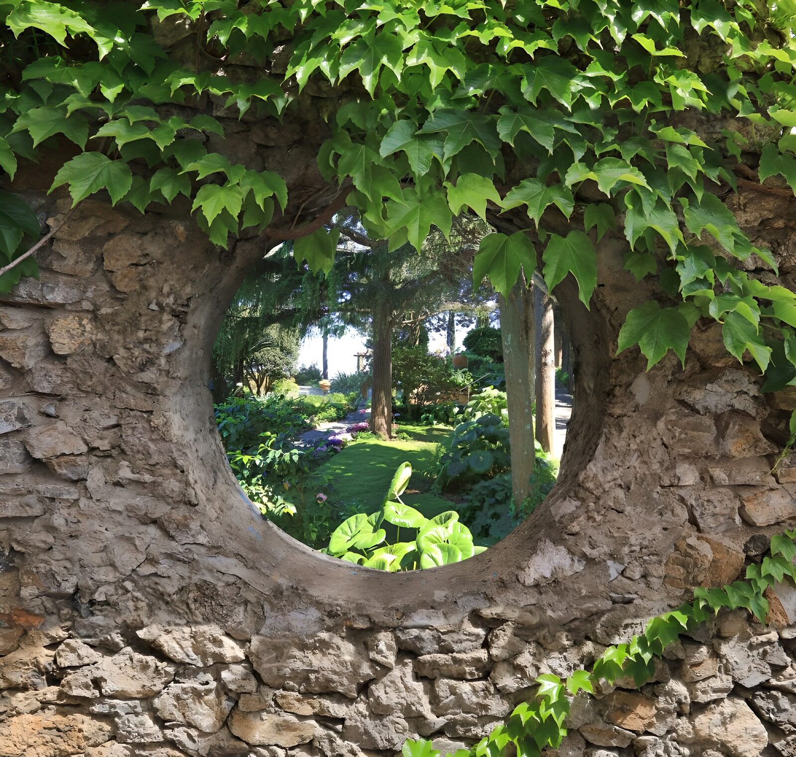 OCUK36950: Old brick wall with round hole covered with ivy
