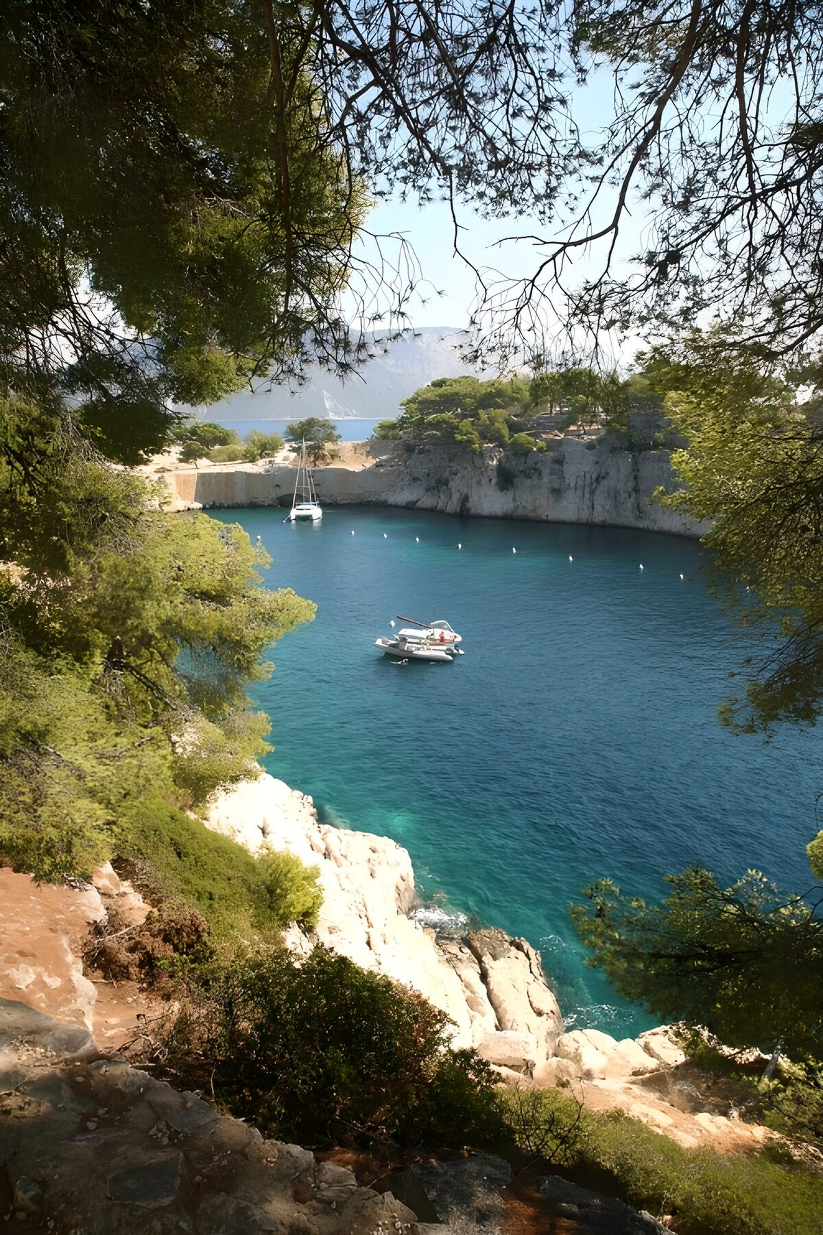 Tranquil Cove with Boats
