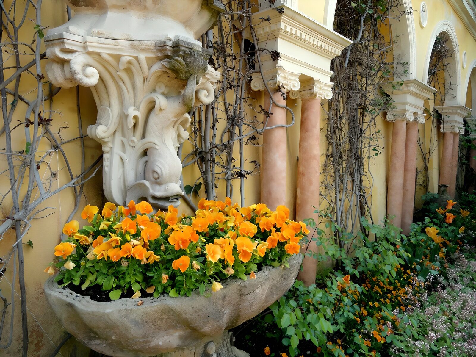 OCUK60279: Vibrant Floral Display in a Garden Setting