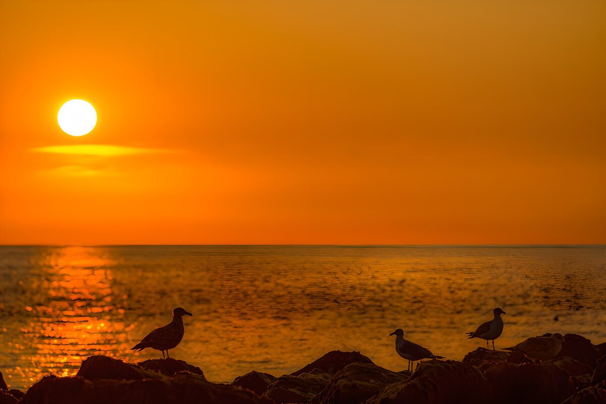 Sunset Serenity by the Shore