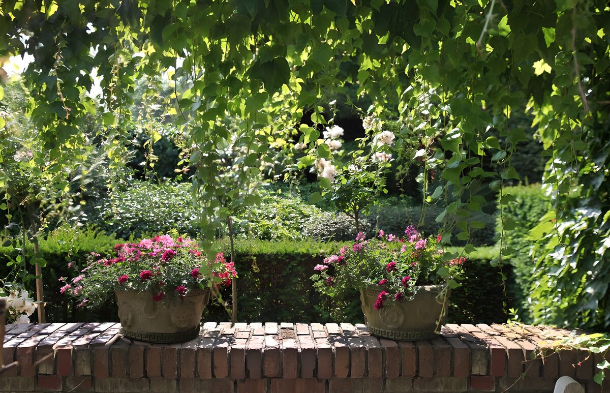 OCUK78304: Serene Garden Scene with Flower Pots
