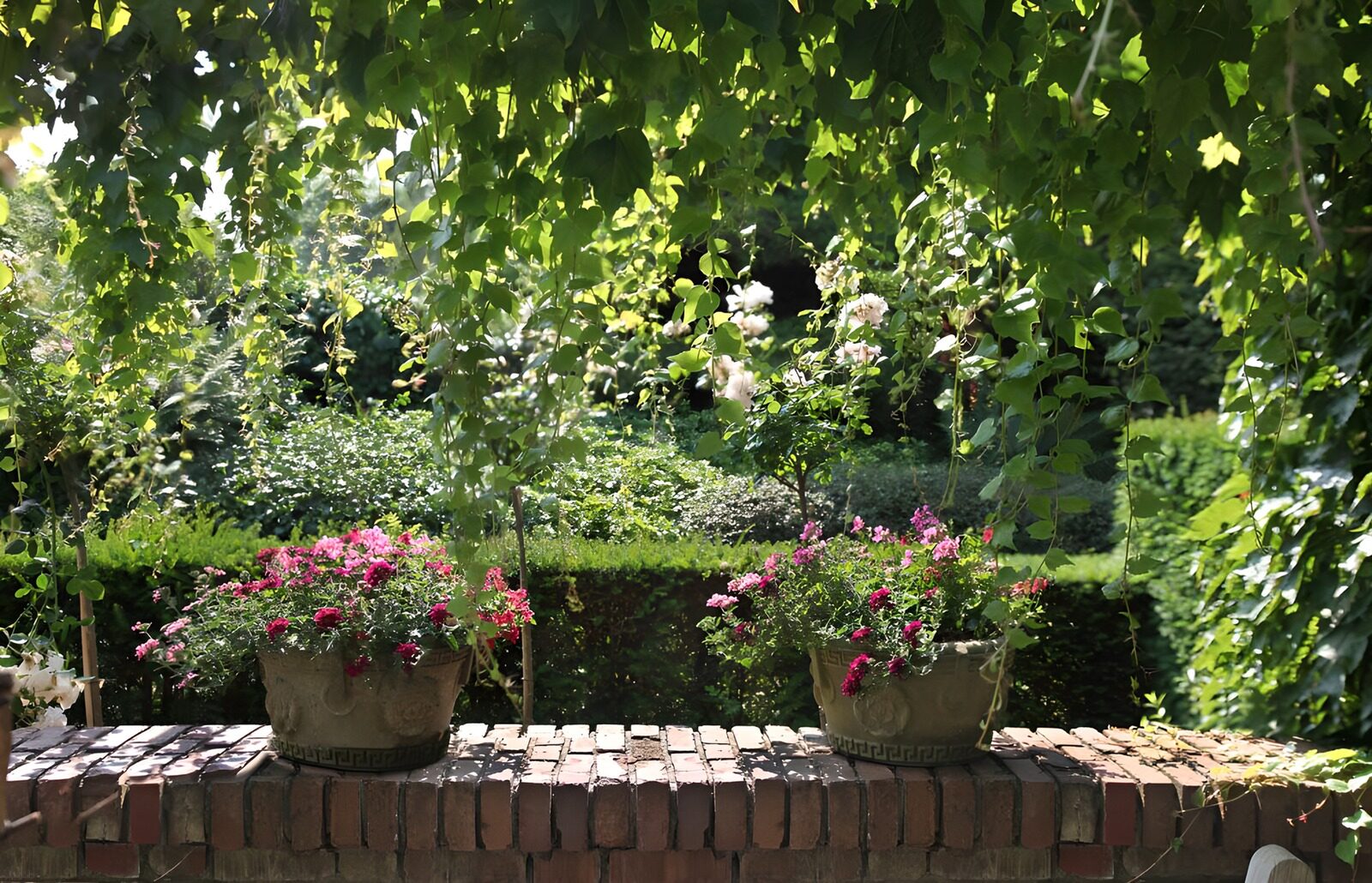 OCUK78304: Serene Garden Scene with Flower Pots