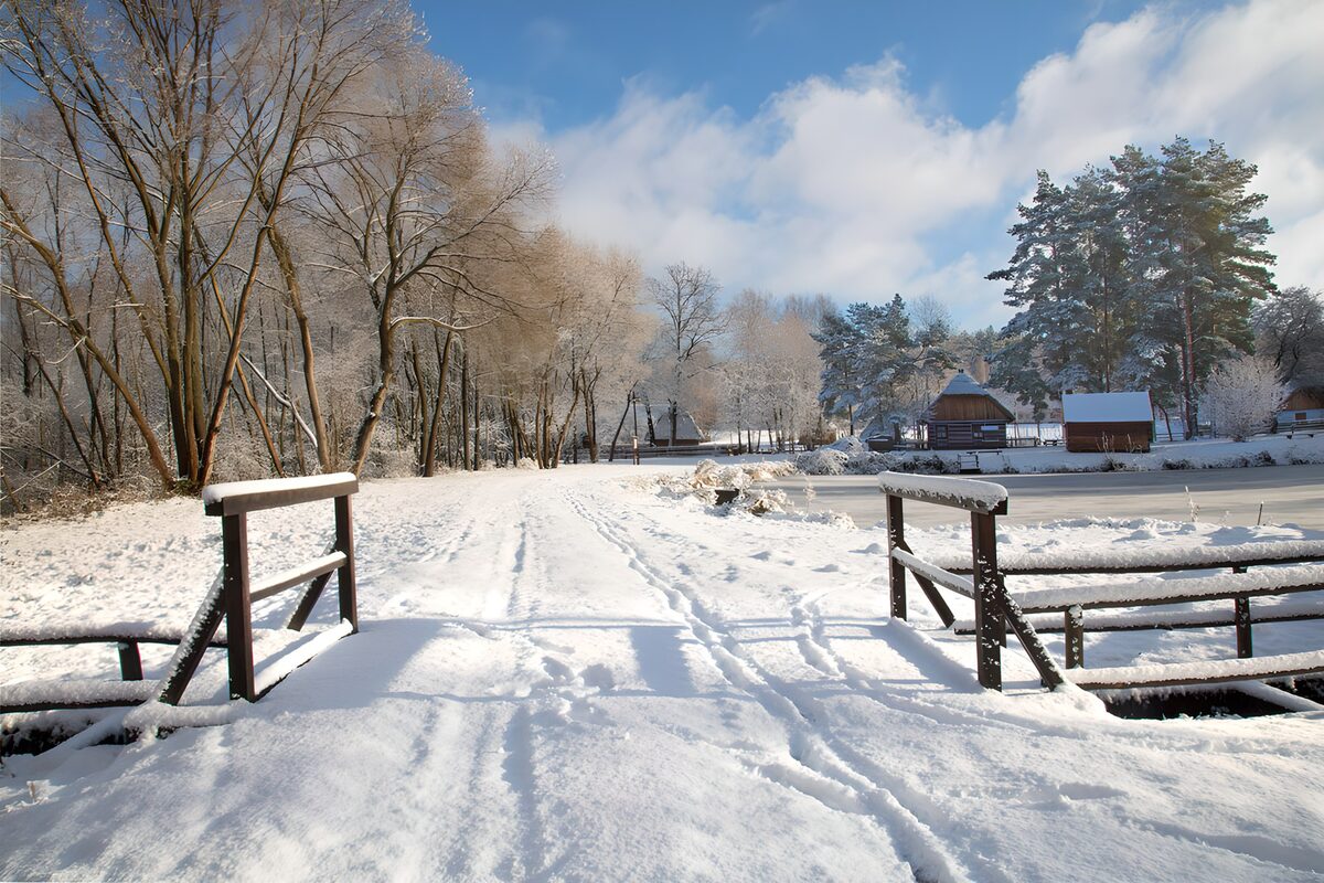 OCUK26212: Winter Wonderland Pathway