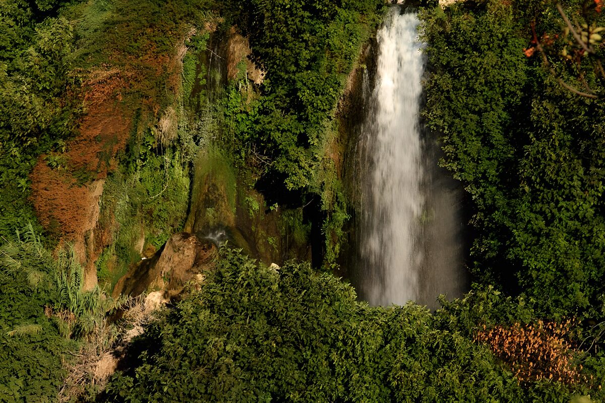 OCUK84787: Serene Waterfall Amidst Lush Greenery