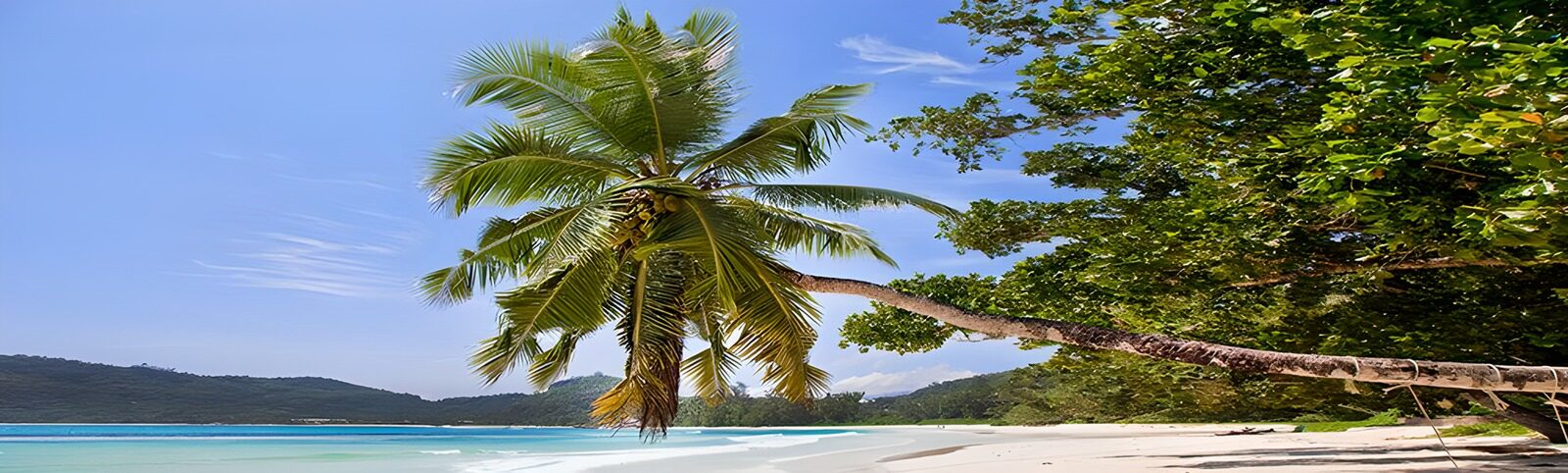 OCUK55274: Tropical Serenity: A Beach Escape