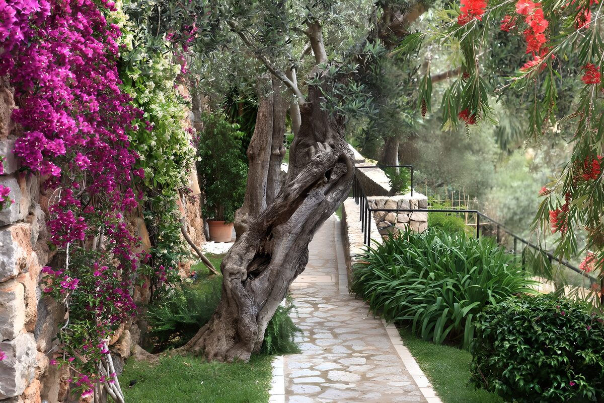 OCUK54988: Garden path of basalt boulders in botanical garden