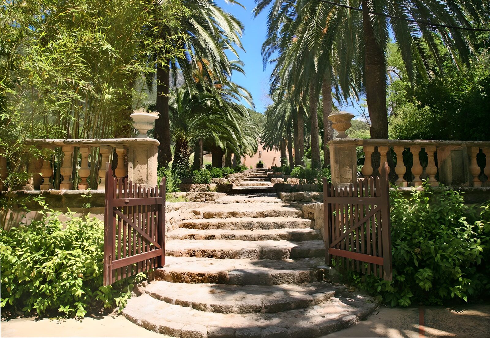 OCUK58450: Steps towards house with palm trees version 2