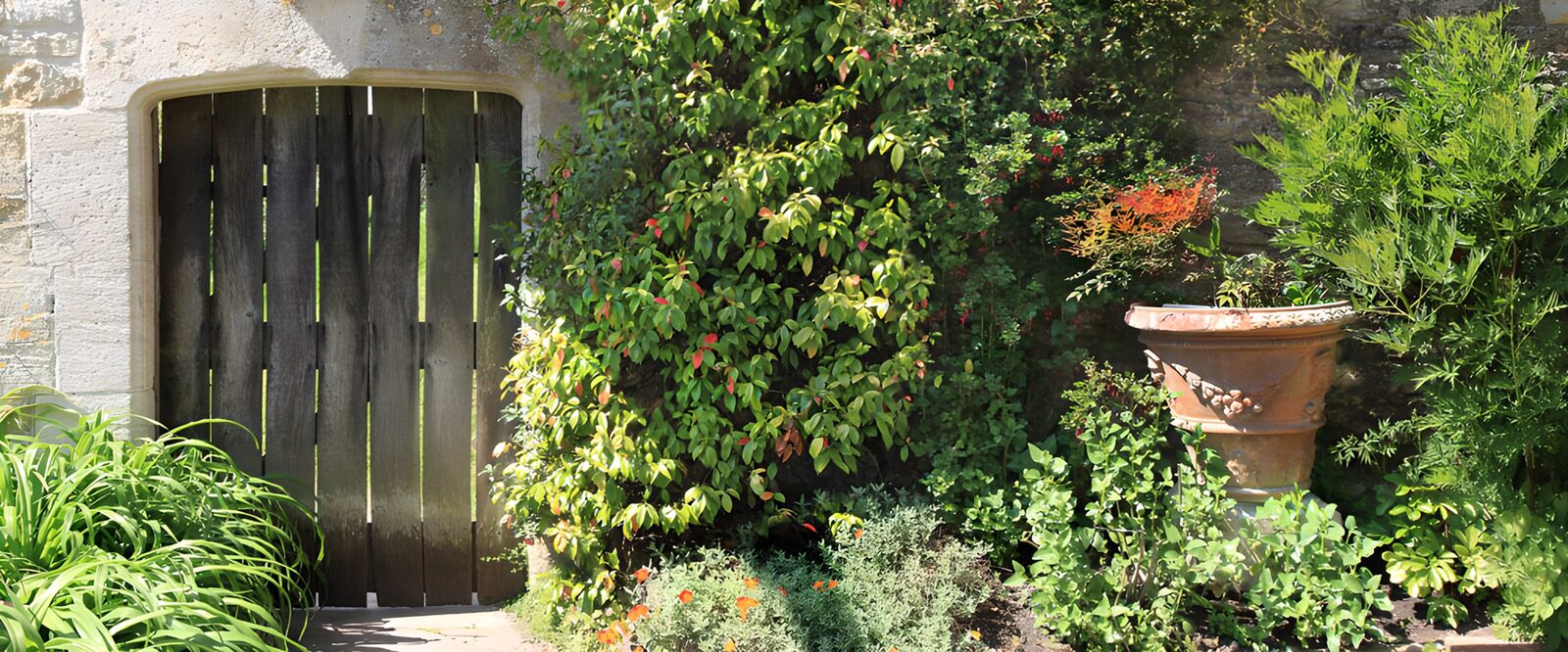 OCUK57437: Secret Garden Entrance